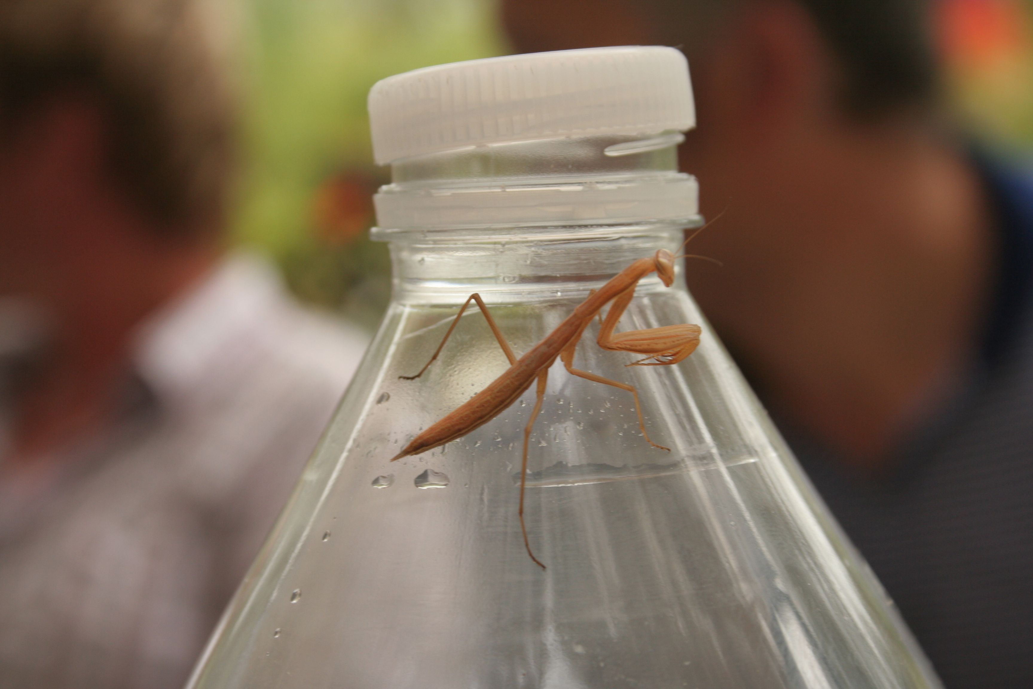 vakantie 2009 a-066.jpg